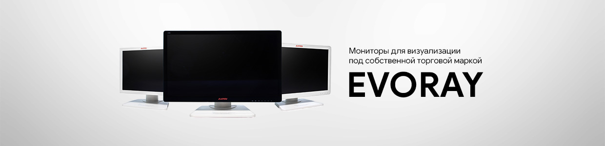 Гибкая и жёсткая эндоскопия - Мониторы EVORAY