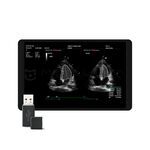 Auto EF, MEDLIGA Auto EF