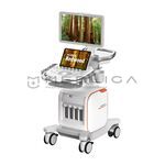 Siemens ACUSON Redwood