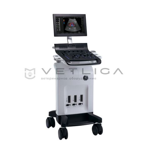 GE Versana Essential, 5