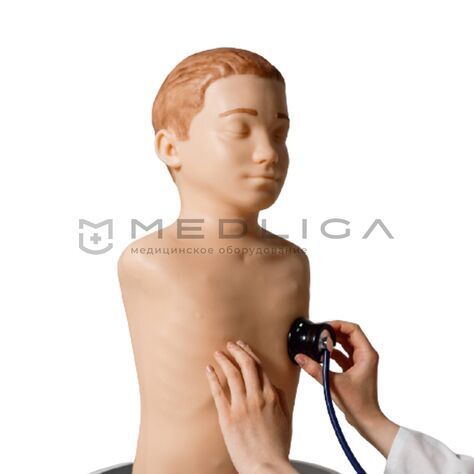 Симулятор аускультации MedVision Pediatric MATT, 2
