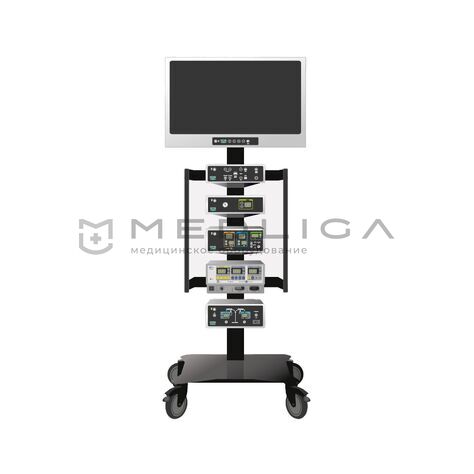 ESTEN L-2, MEDLIGA ESTEN L-2
