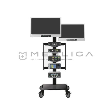 ESTEN L-1, MEDLIGA ESTEN L-1