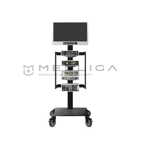 ESTEN G-2, MEDLIGA ESTEN G-2