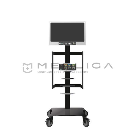 ESTEN L-4, MEDLIGA ESTEN L-4