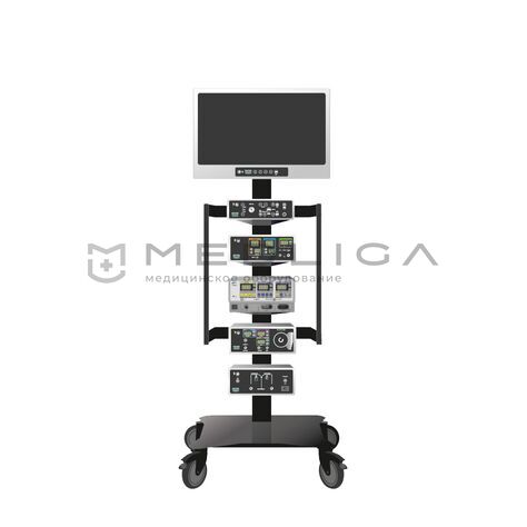 ESTEN LG-3, MEDLIGA ESTEN LG-3