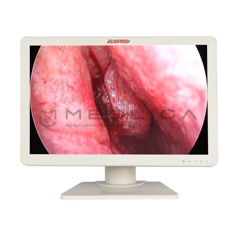 EVORAY S271P, MEDLIGA EVORAY S271P