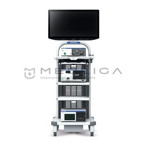 Olympus Visera Elite II