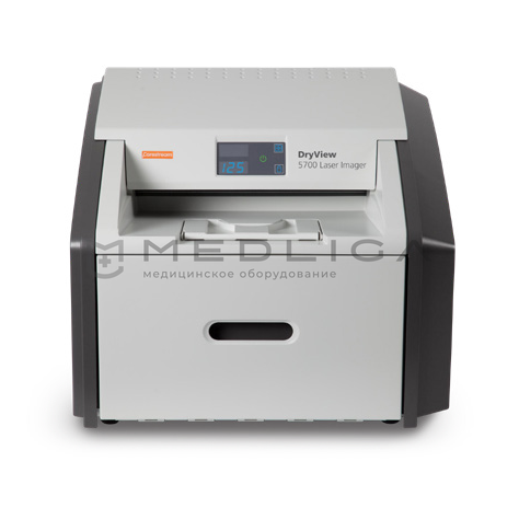 Баланың кішкентай жыныс мүшесі бар