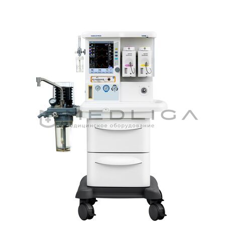 MS Westfalia Maja X55, 5