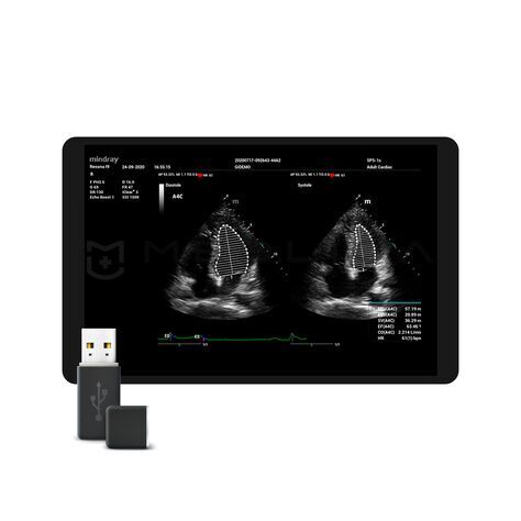 Auto EF, MEDLIGA Auto EF