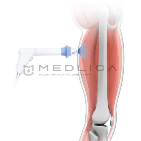 BTL-6000 SWT TOPLINE, 7