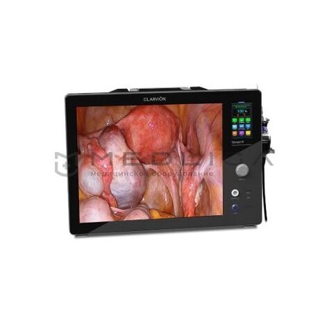 Chammed QVION 19 (HD)